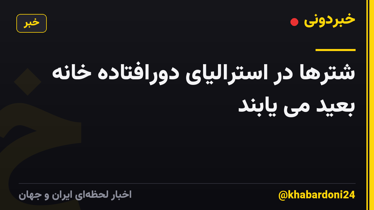 شترها در استرالیای دورافتاده خانه بعید می یابند