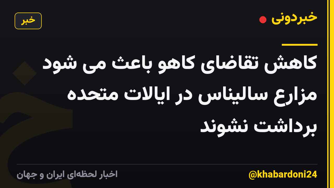 کاهش تقاضای کاهو باعث می شود مزارع سالیناس در ایالات متحده برداشت نشوند