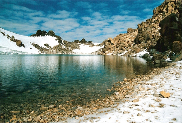 صحنه ای نادر از حیات وحش ایران در سبلان + فیلم