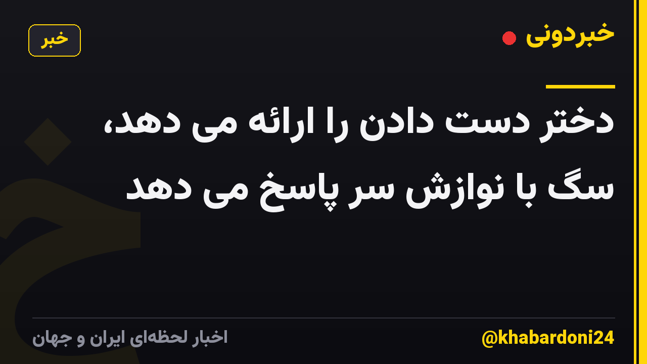 دختر دست دادن را ارائه می دهد، سگ با نوازش سر پاسخ می دهد