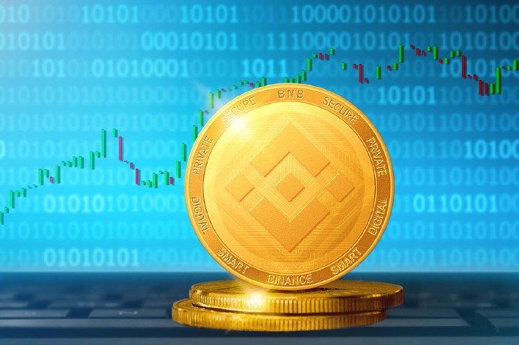 BNB به 80 میلیون دارنده رسید و از ترون به عنوان بزرگترین شبکه استیبل کوین پیشی گرفت