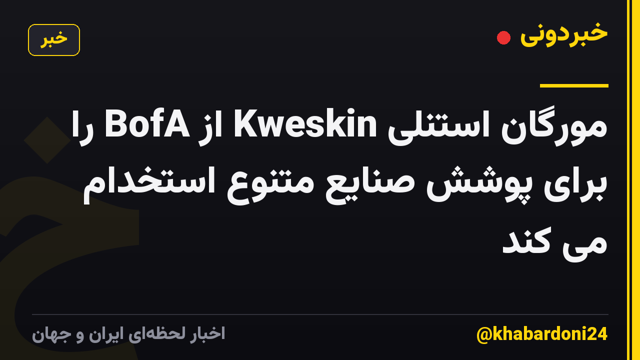 مورگان استنلی Kweskin از BofA را برای پوشش صنایع متنوع استخدام می کند
