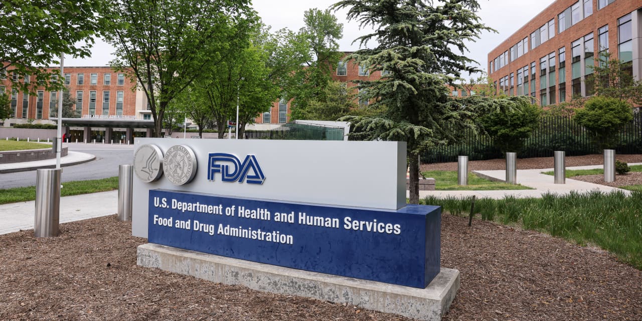Replimune در سومین تلاش موفق به دریافت تاییدیه داروی سرطان پوست FDA شد. چرا سهام در حال سقوط است