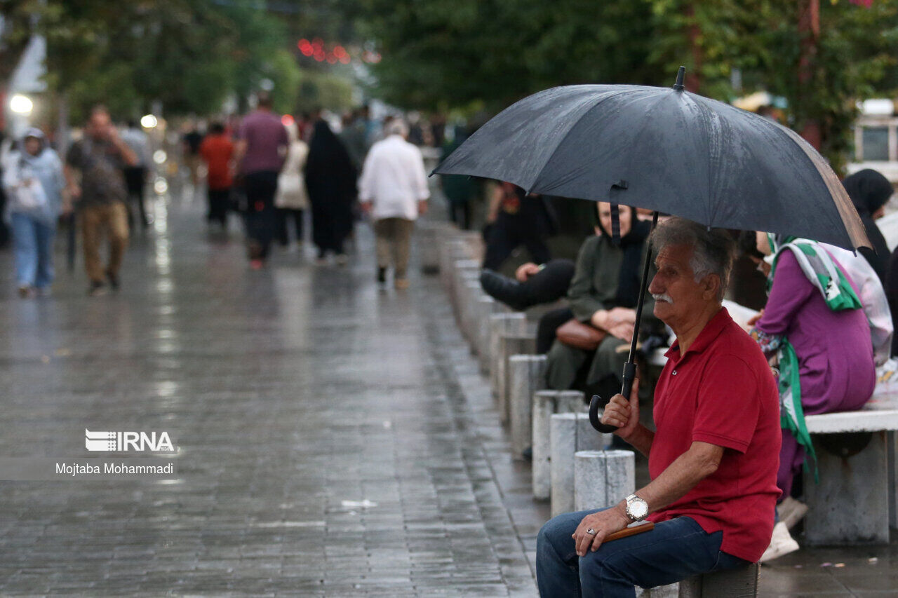 باران تابستانی چهره جنوب فارس را پاییزی کرد