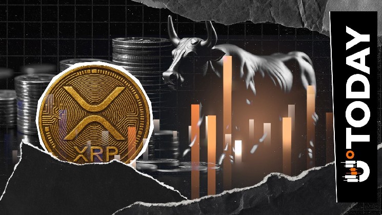XRP 2809٪ عدم تعادل انحلال را چاپ می کند زیرا گاوها بیدار می شوند