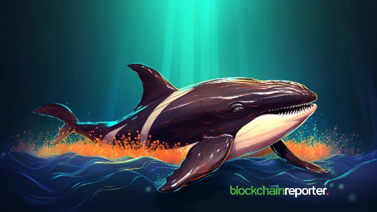 LONGPORT Whale جایزه همکاری اکوسیستم خانگی را با توجه به مدل فین تک سنگاپور دریافت کرد