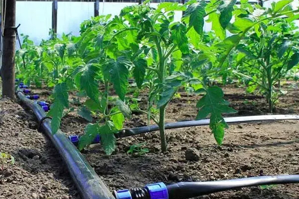 اختصاص ۲۰ میلیارد تومان برای تکمیل ایستگاه پمپاژ بدره