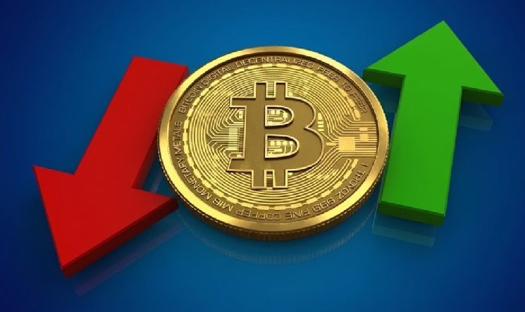آیا بیت کوین و آلت کوین ها بالاخره شروع به کار خواهند کرد؟ کیف پول های کوچک با مشکل مواجه هستند، در حالی که نهنگ های بزرگ در حال انبار کردن هستند