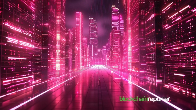 Velo با Zebec برای گسترش پرداختهای رمزنگاری روزانه شریک میشود
