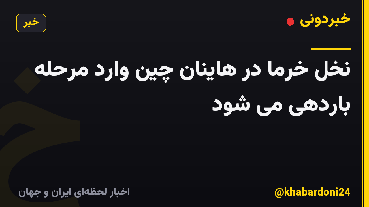 نخل خرما در هاینان چین وارد مرحله باردهی می شود