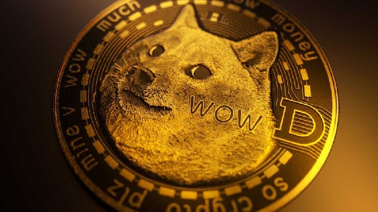 پاسخ غول وال استریت به انتقادات درباره Dogecoin (DOGE)
