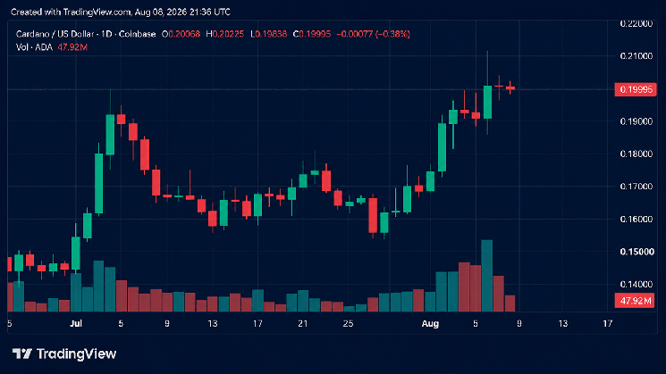 Crypto Weekly: ADA و کوین های حریم خصوصی در حالی که XRP اسلاید می شود عملکرد بهتری دارند