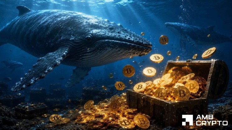 نهنگ های بیت کوین به مدت 5 روز انباشته می شوند - آیا بیت کوین می تواند از این کانال فرار کند؟