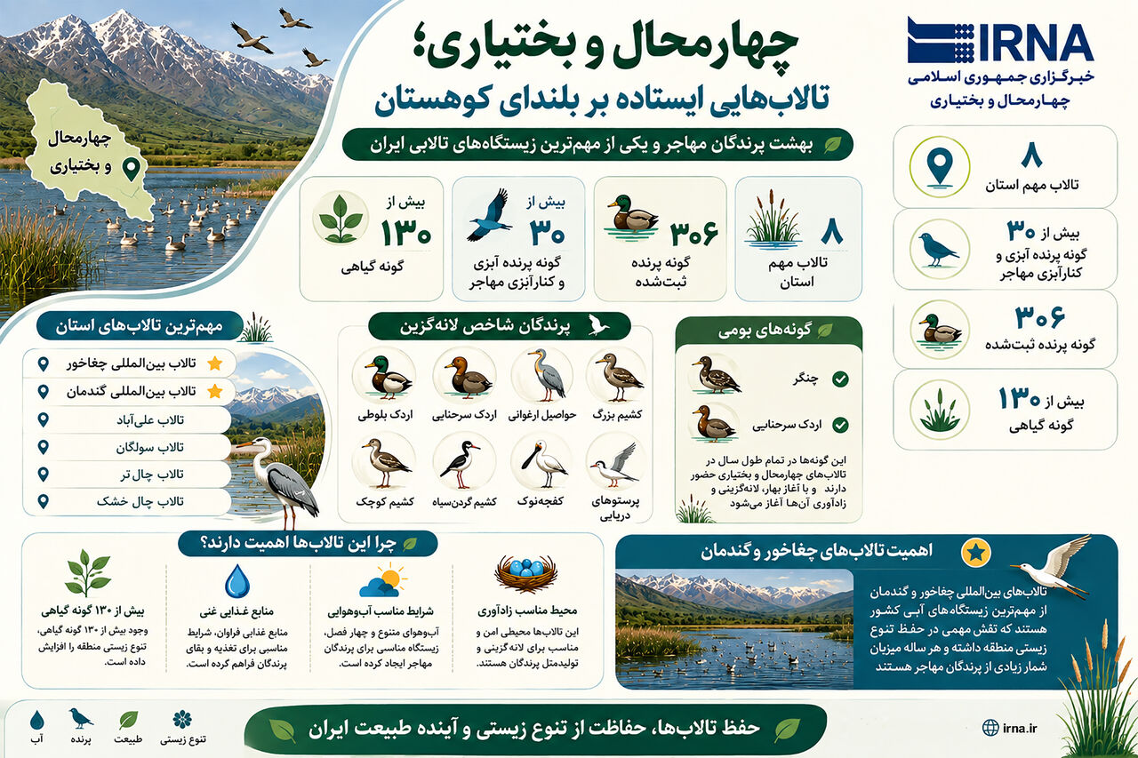 اینفوگرافیک | تالاب‌هایی بر بلندای کوهستان زاگرس