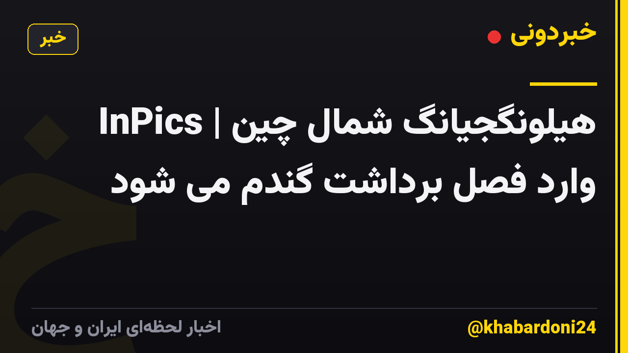 InPics | هیلونگجیانگ شمال چین وارد فصل برداشت گندم می شود