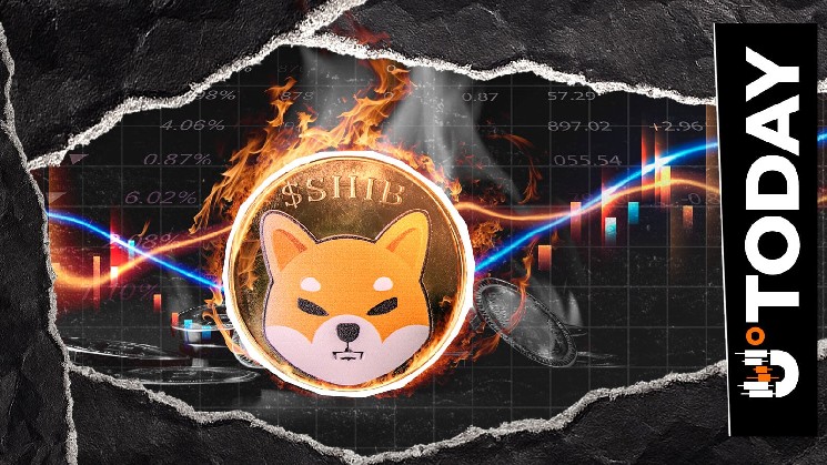 10,684,707 SHIB سوخته با افزایش نرخ سوختگی Shiba Inu 439٪