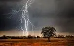 صاعقه، زن و گربهاش را ترساند