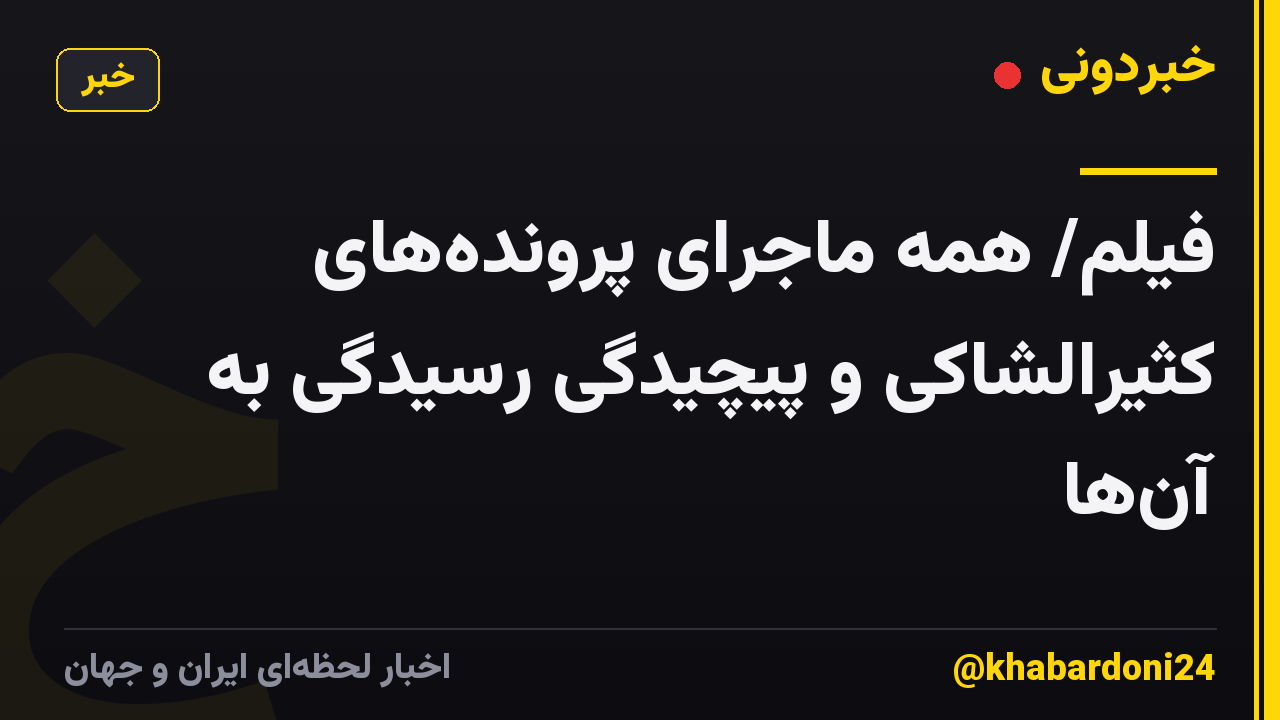 فیلم/ همه ماجرای پروندههای کثیرالشاکی و پیچیدگی رسیدگی به آنها