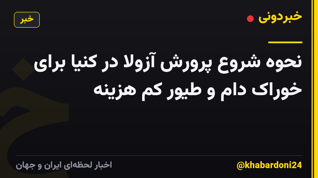 نحوه شروع پرورش آزولا در کنیا برای خوراک دام و طیور کم هزینه