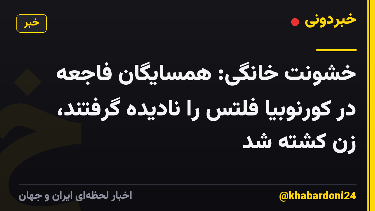 خشونت خانگی: همسایگان فاجعه در کورنوبیا فلتس را نادیده گرفتند، زن کشته شد