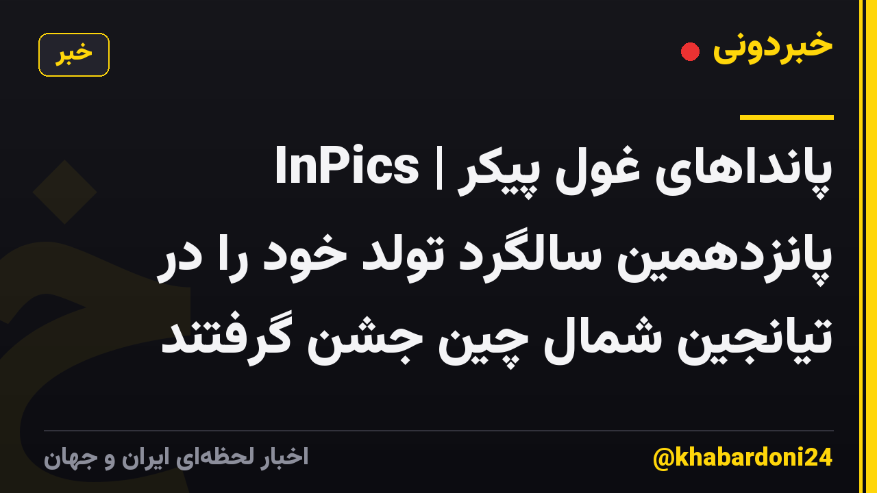 InPics | پانداهای غول پیکر پانزدهمین سالگرد تولد خود را در تیانجین شمال چین جشن گرفتند