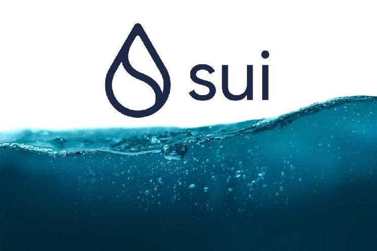 Blockchain Network Sui ویژگی جدید زیرساخت متمرکز بر حریم خصوصی را معرفی می کند! در اینجا جزئیات هستند