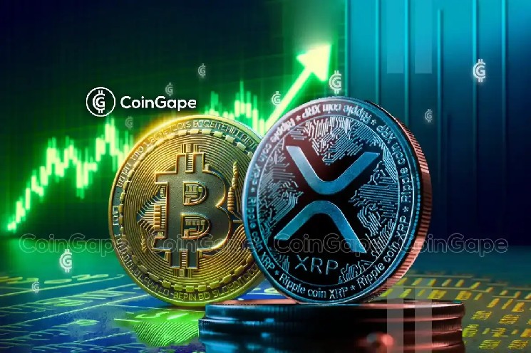 آخرین خبر: بانک ملی کانادا دارایی های موجود در ETF XRP و ETF بیت کوین را فاش کرد