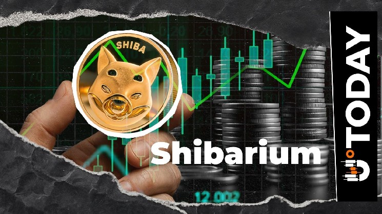 Shiba Inu: فعالیت Shibarium 507٪ افزایش می یابد، اما همه چیز را از دست می دهد