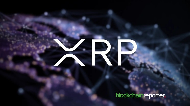 گروه کیف پول میلیون XRP با 32 آدرس رشد می کند در حالی که ارزش بازار 29٪ کاهش می یابد