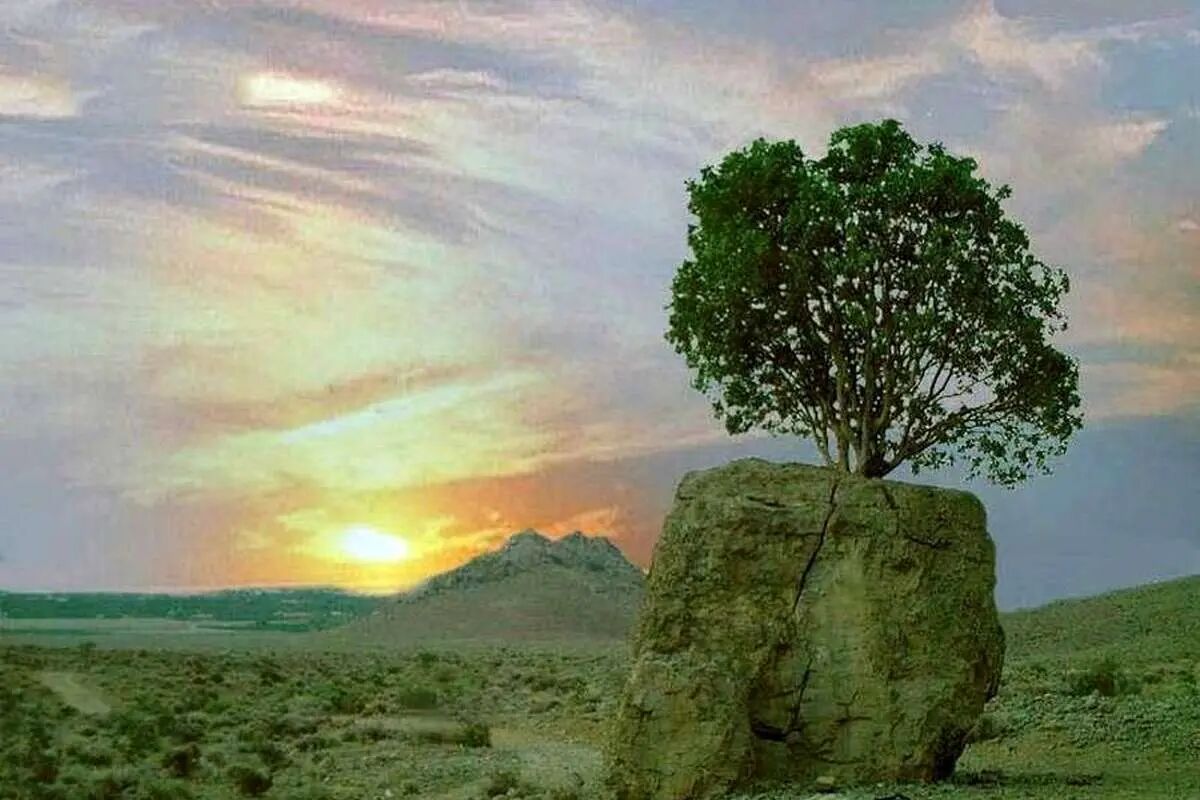 نگاه هنرمندانه یک نوجوان ارسنجانی، طبیعت ایران را در قاب تصویر ماندگار کرد