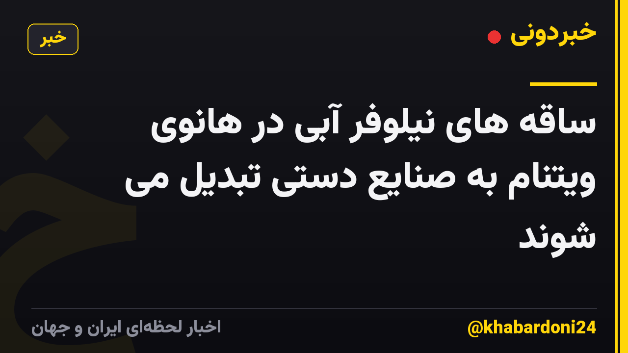 ساقه های نیلوفر آبی در هانوی ویتنام به صنایع دستی تبدیل می شوند