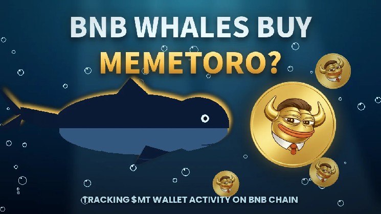 چه چیزی یک AI Memecoin را برای پیشنهاد MemeToro ایمن می کند؟