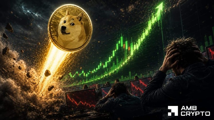 Dogecoin 2.93٪ افزایش یافت، به بالاترین حد دو هفته رسید - آیا DOGE می تواند این را در مرحله بعد پاک کند؟
