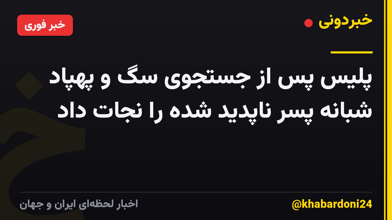 پلیس پس از جستجوی سگ و پهپاد شبانه پسر ناپدید شده را نجات داد