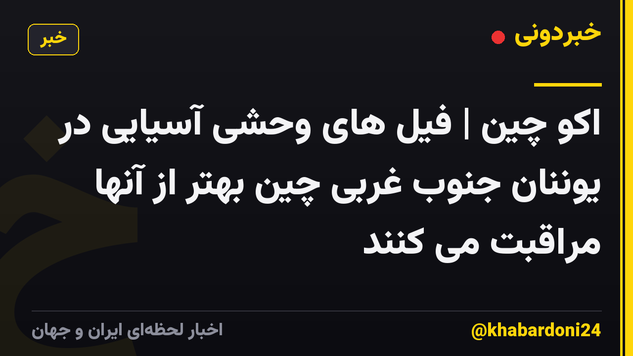 اکو چین | فیل های وحشی آسیایی در یوننان جنوب غربی چین بهتر از آنها مراقبت می کنند