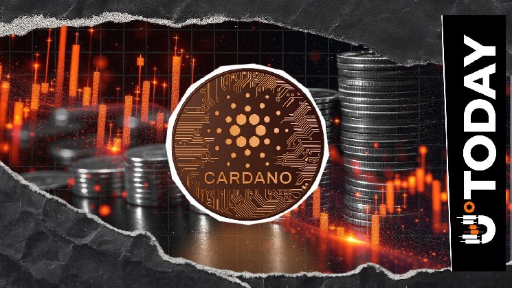 Cardano با عدم تعادل انحلال 899٪ مواجه می شود: آیا خرس ها به دام افتاده اند؟