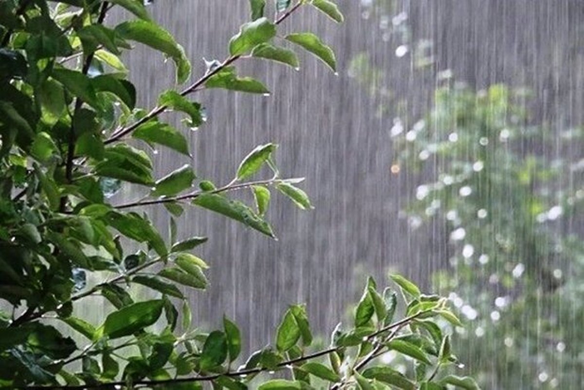 ببینید | بارش‌های سیل‌آسا در ژاپن و اعلام شرایط اضطراری