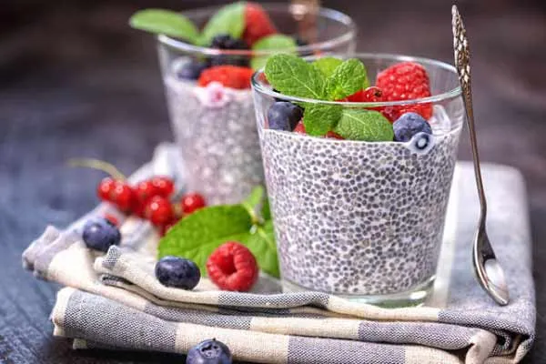 طرز تهیه ۳ مدل پودینگ دانه چیا