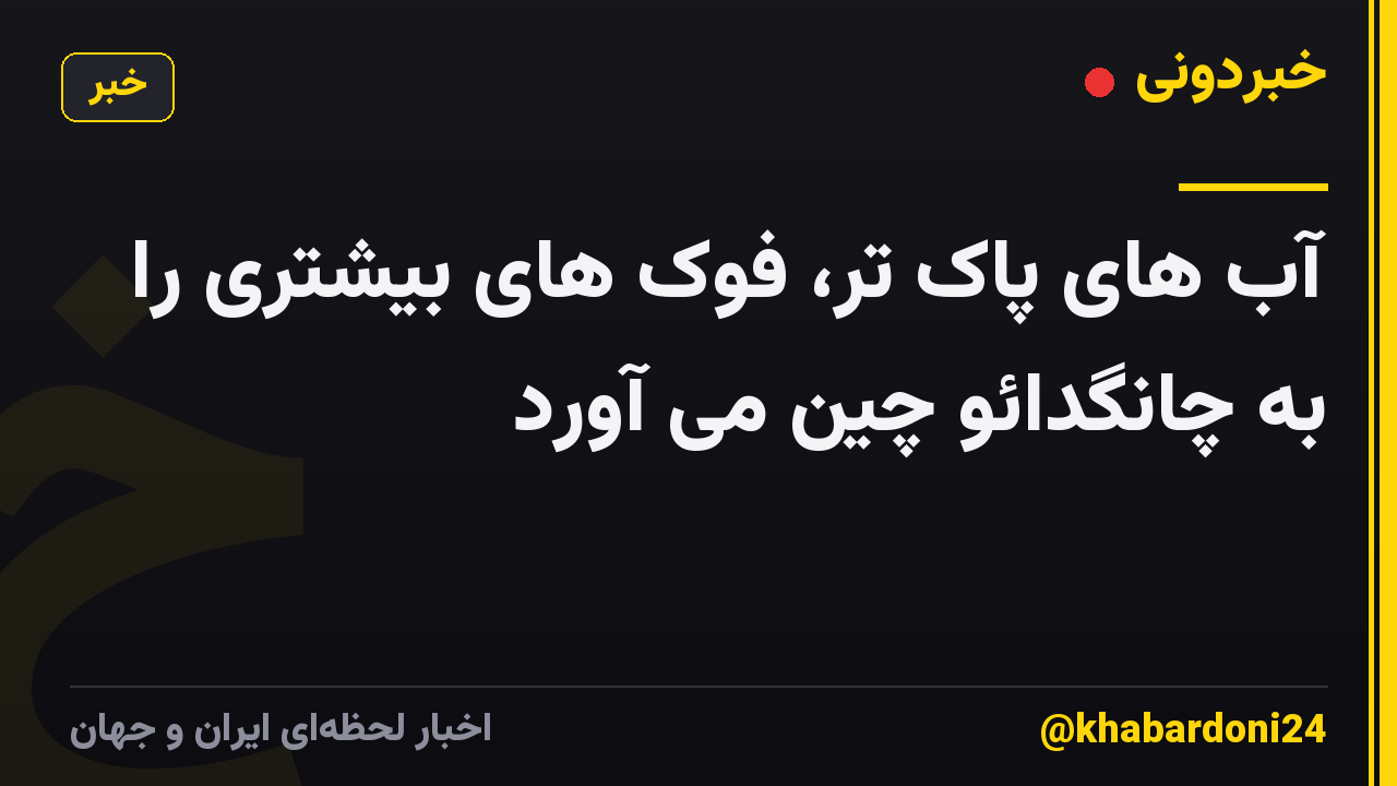آب های پاک تر، فوک های بیشتری را به چانگدائو چین می آورد