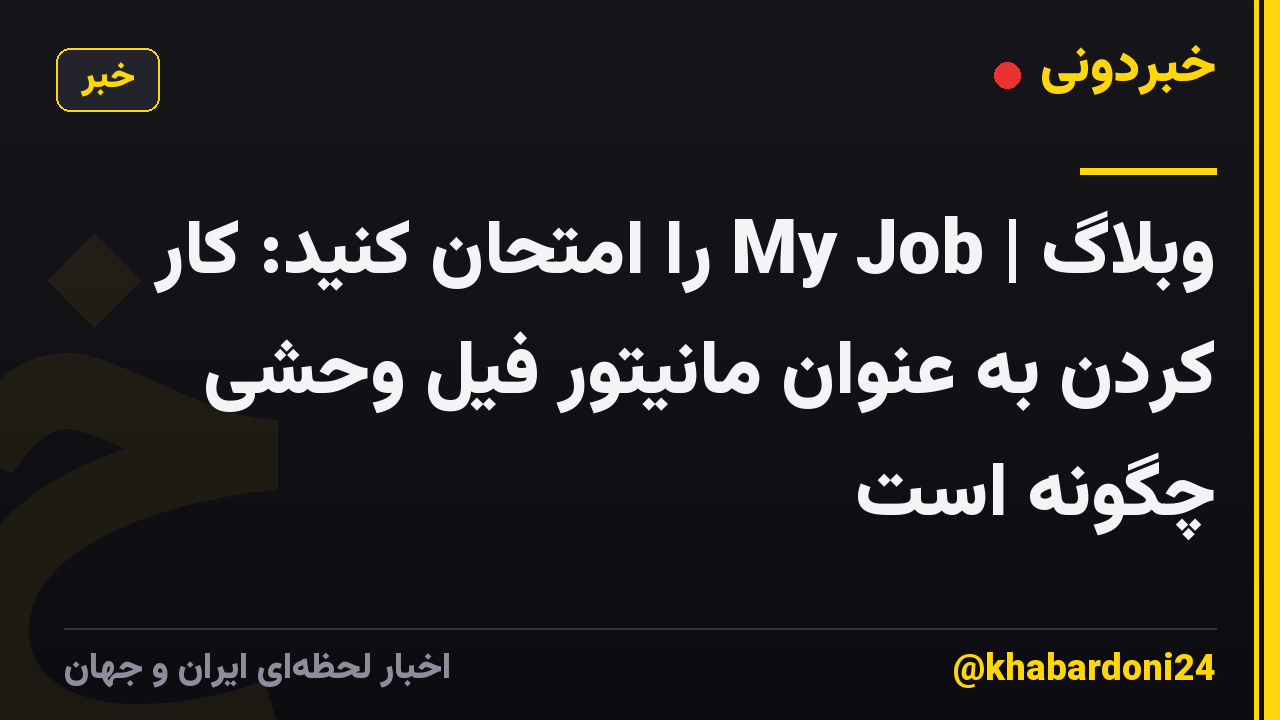 وبلاگ | My Job را امتحان کنید: کار کردن به عنوان مانیتور فیل وحشی چگونه است