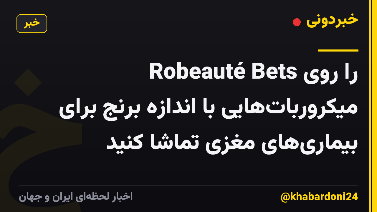 Robeauté Bets را روی میکروربات‌هایی با اندازه برنج برای بیماری‌های مغزی تماشا کنید