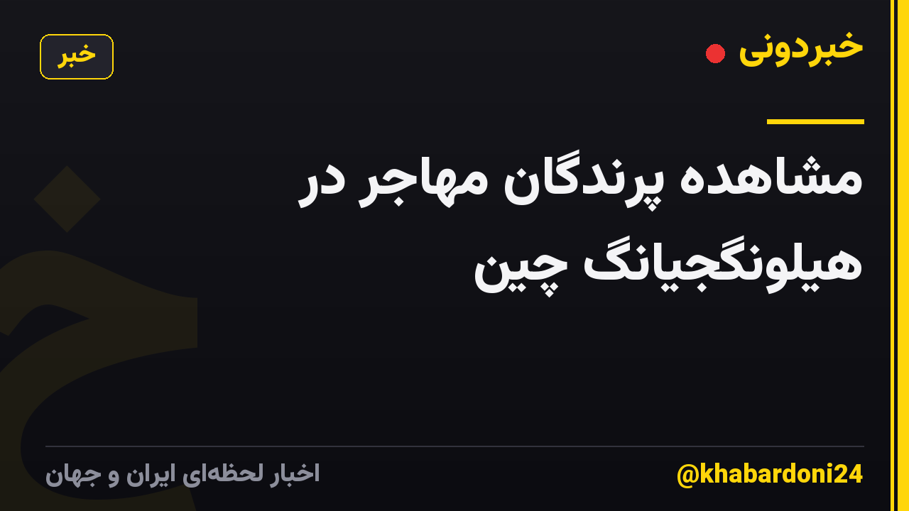 مشاهده پرندگان مهاجر در هیلونگجیانگ چین
