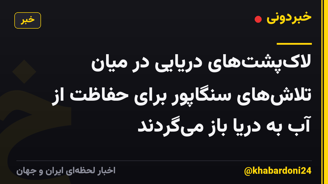 لاکپشتهای دریایی در میان تلاشهای سنگاپور برای حفاظت از آب به دریا باز میگردند
