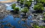 ۹۰هزار مترمربع از دریای جنوب نفتی شد/ چه کسی باید خسارتها را جبران کند؟