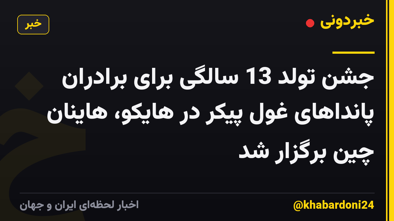 جشن تولد 13 سالگی برای برادران پانداهای غول پیکر در هایکو، هاینان چین برگزار شد