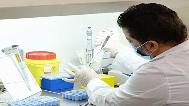 افشای گوشتهای تقلبی با فناوری DNA در قم