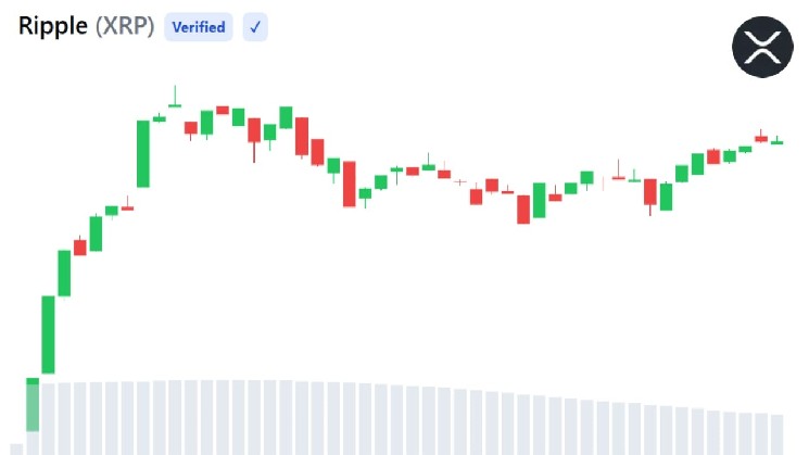 آدرس‌های فعال XRP در مدت 2 ماه به بالاترین حد خود می‌رسند، زیرا احساسات نزولی می‌شوند