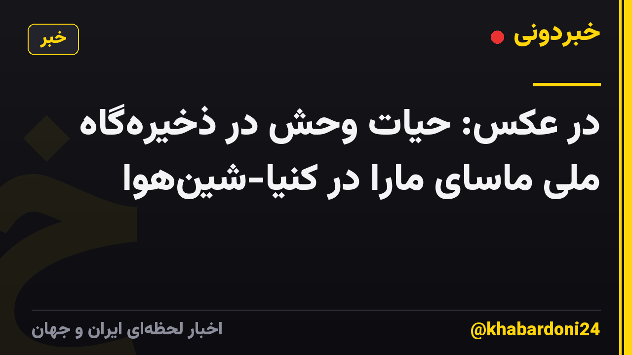 در عکس: حیات وحش در ذخیره‌گاه ملی ماسای مارا در کنیا-شین‌هوا