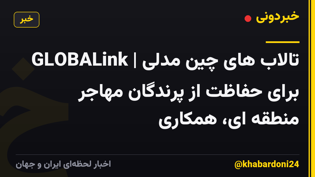 GLOBALink | تالاب های چین مدلی برای حفاظت از پرندگان مهاجر منطقه ای، همکاری