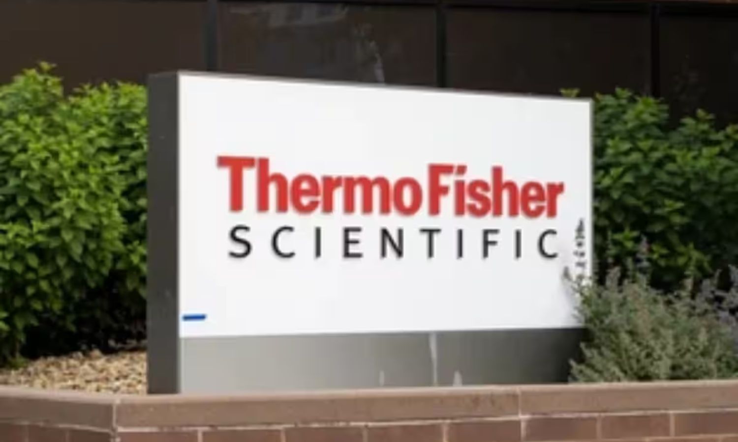 رشد 15 تا 20 درصدی Thermo Fisher Eyes در پایگاه مشتریان هند طی 5 سال آینده در میان رونق بیوفارما